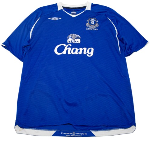 Everton 2008-2009 HOME S/S XL #25 FELLAINI